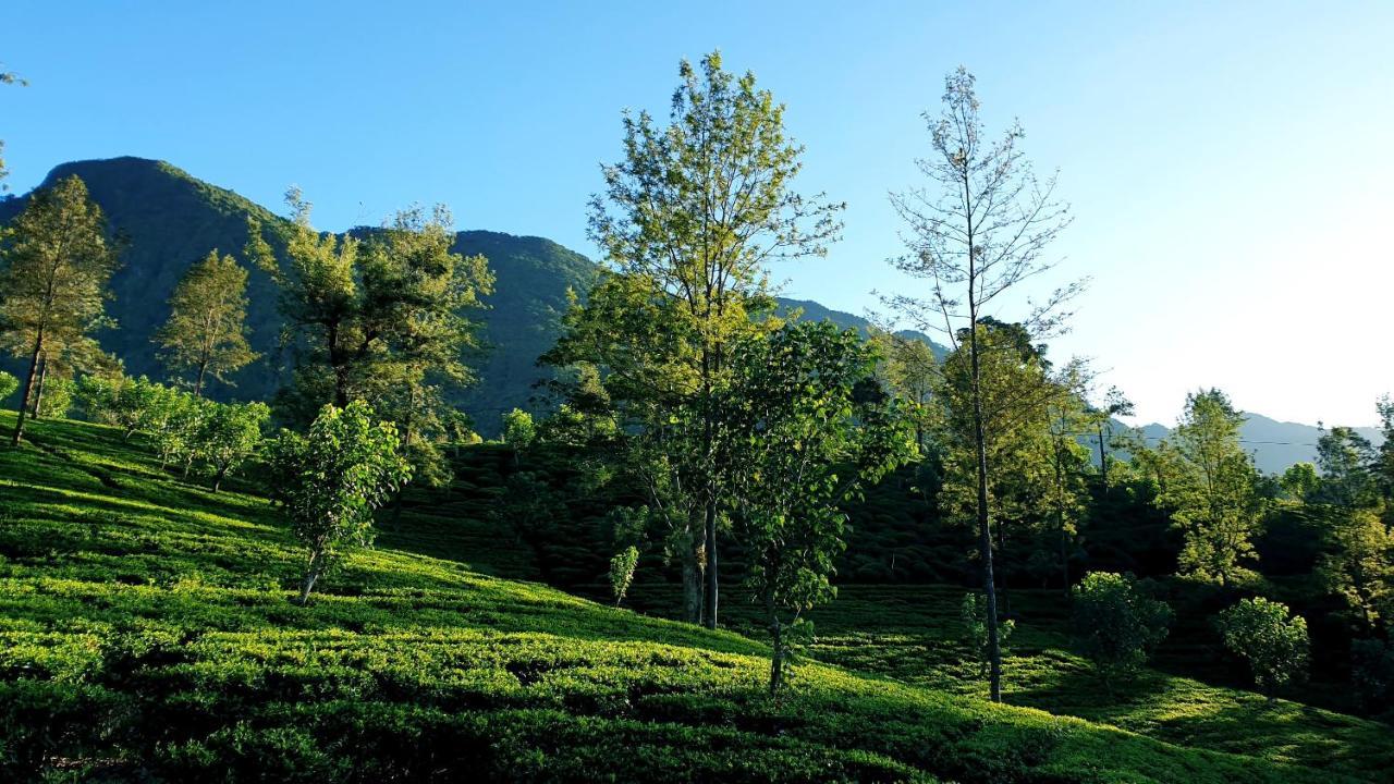 Kithul Cottage Nuwara Eliya Exterior photo