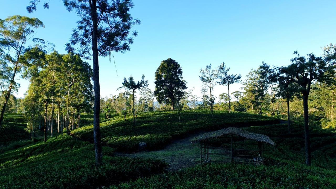 Kithul Cottage Nuwara Eliya Exterior photo