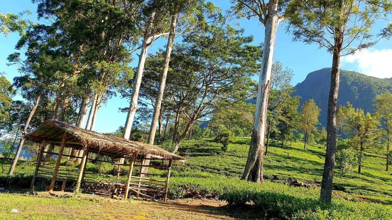 Kithul Cottage Nuwara Eliya Exterior photo